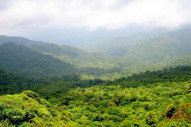 monteverde-cloud-forest-reserve-guided-walk