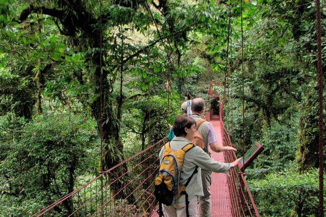 monteverde-cloud-forest-reserve-guided-walk