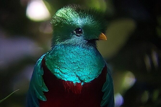 monteverde-cloud-forest-tour-2