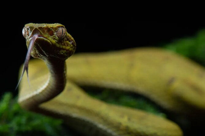 monteverde-cloud-forest-tour-3