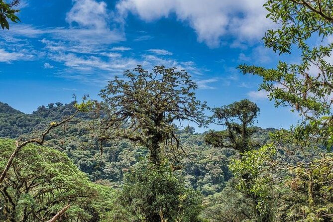 monteverde-local-experience-guided-tour-from-monteverde