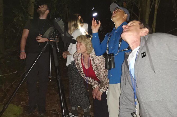 monteverde-night-tour