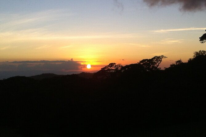 monteverde-night-walk-tour