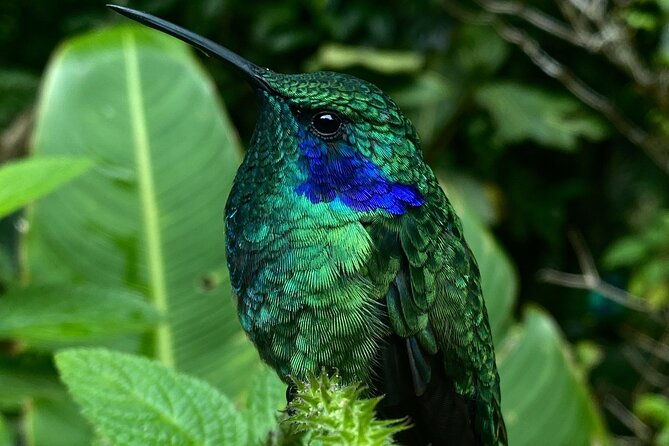 monteverde-semi-private-full-day