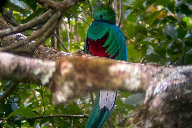 monteverde-semi-private-full-day