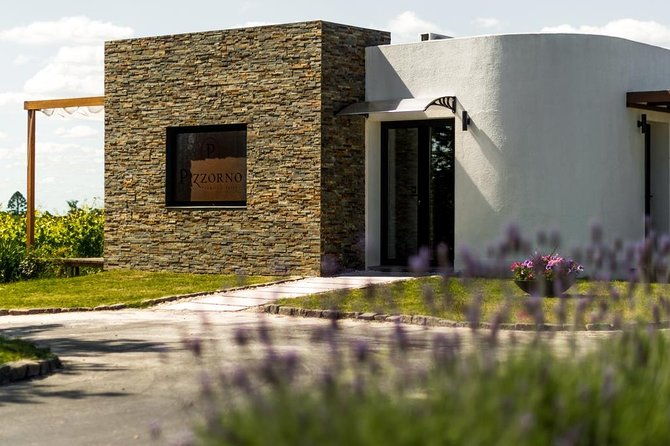 montevideo-wine-tour-with-tasting-and-lunch
