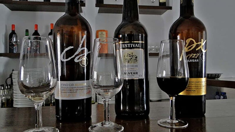 Montilla-Moriles Wine Tasting - Montilla-Moriles Wine Tasting: An Authentic Journey into Andalusian Wines