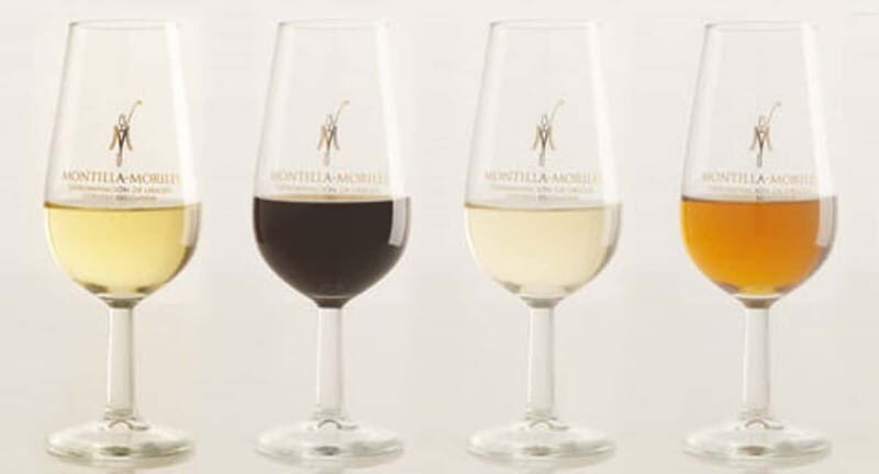 Montilla-Moriles Wine Tasting - Final Thoughts