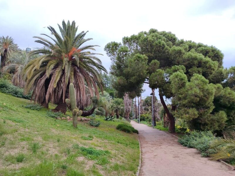 montjuic-guided-e-bike-tour-with-tapas-and-panoramic-views-2