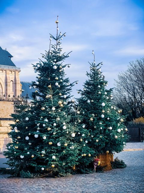 montmartre-semi-private-guided-stroll-in-bohemian-paris
