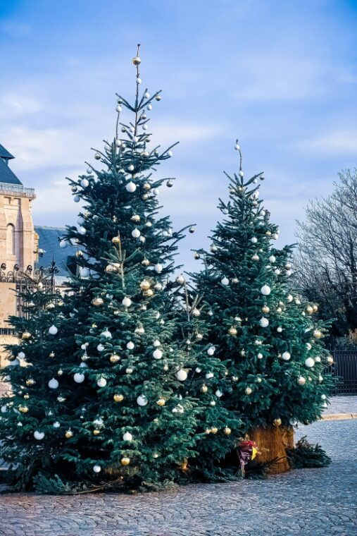 montmartre-semi-private-guided-stroll-in-bohemian-paris