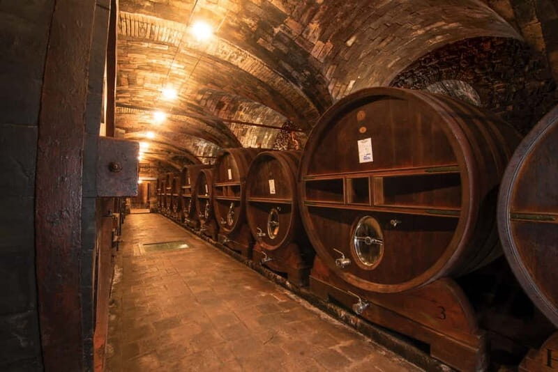 Montone: e-bike tour of the medieval village and visit to a winery - Who Will Enjoy This Tour?  