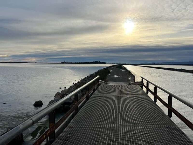 Montpellier: Guided Electric Bike Ride Along the Coast - Who Might Not Enjoy It?