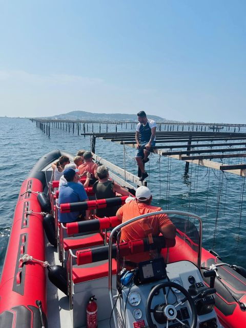 montpellier-half-day-trip-to-etang-de-thau-lake-with-lunch