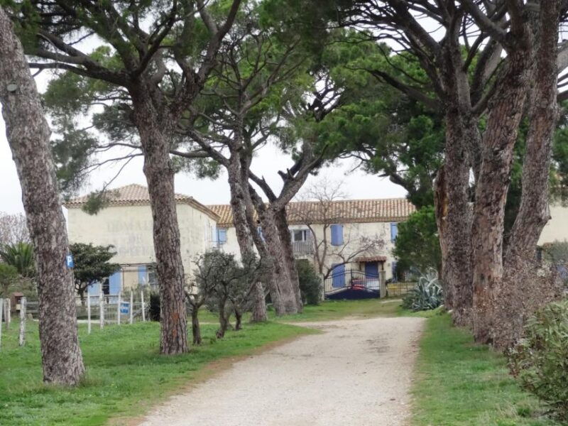 montpellier-personalized-day-tour-of-the-south-of-france