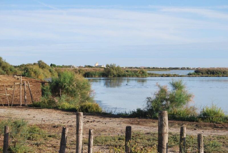 montpellier-personalized-day-tour-of-the-south-of-france