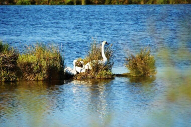 montpellier-personalized-day-tour-of-the-south-of-france