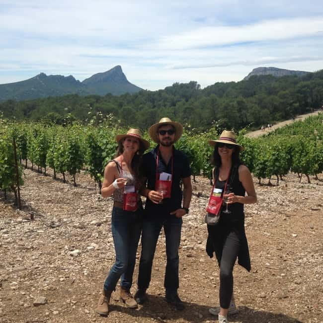 Montpellier: Pic Saint-Loup Wine Tour - Authentic Feedback from Participants