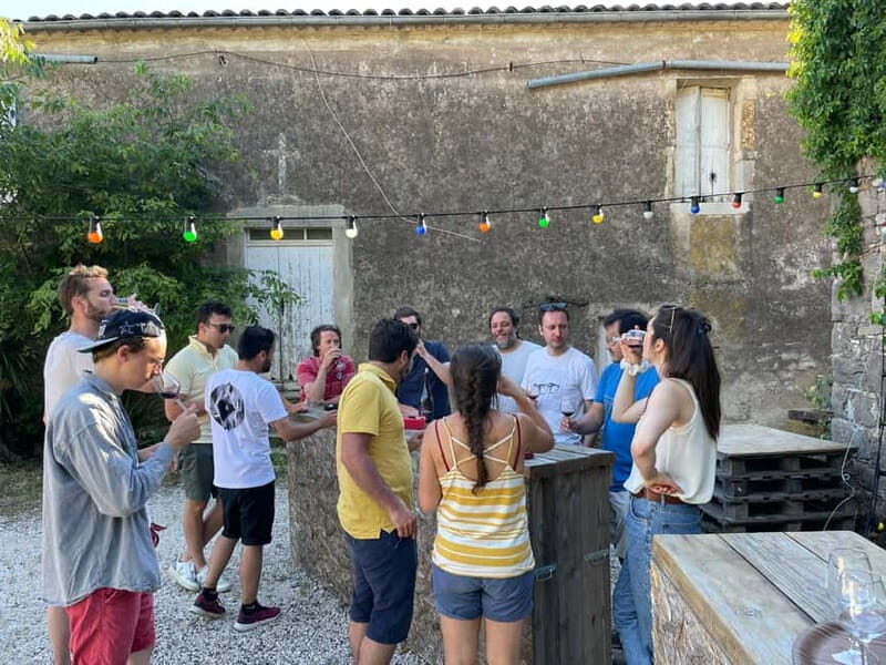 Montpellier: Pic Saint-Loup Wine Tour - Who Is This Tour Best Suited For?
