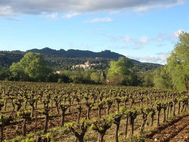 Montpellier: Pic Saint-Loup Wine Tour - FAQs