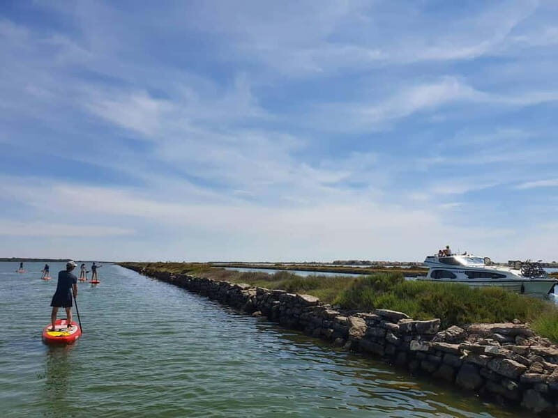 Montpellier: Stand-Up Paddleboarding Discovery Tour - FAQs