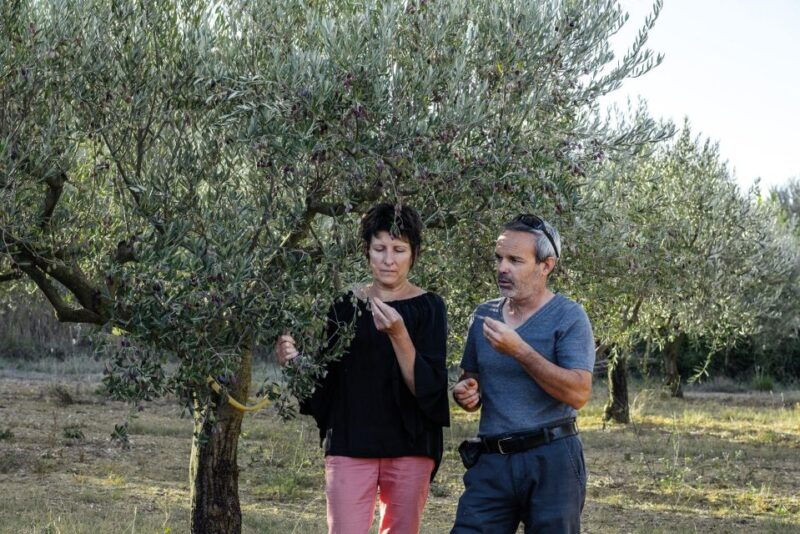 montpellier-visit-lavender-fields-and-an-olive-oil-mill