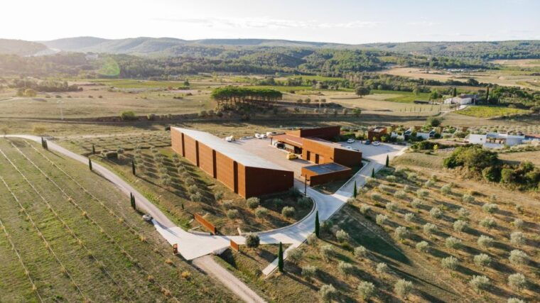 montpellier-visit-lavender-fields-and-an-olive-oil-mill