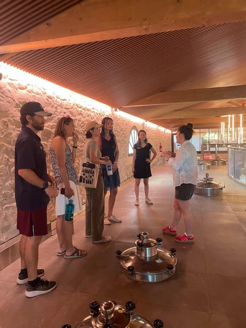 montpellier-wine-tour-pic-st-loup