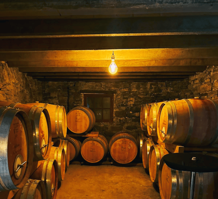 montpellier-wine-tour-pic-st-loup
