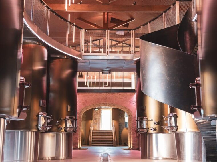 montpellier-wine-tour-pic-st-loup