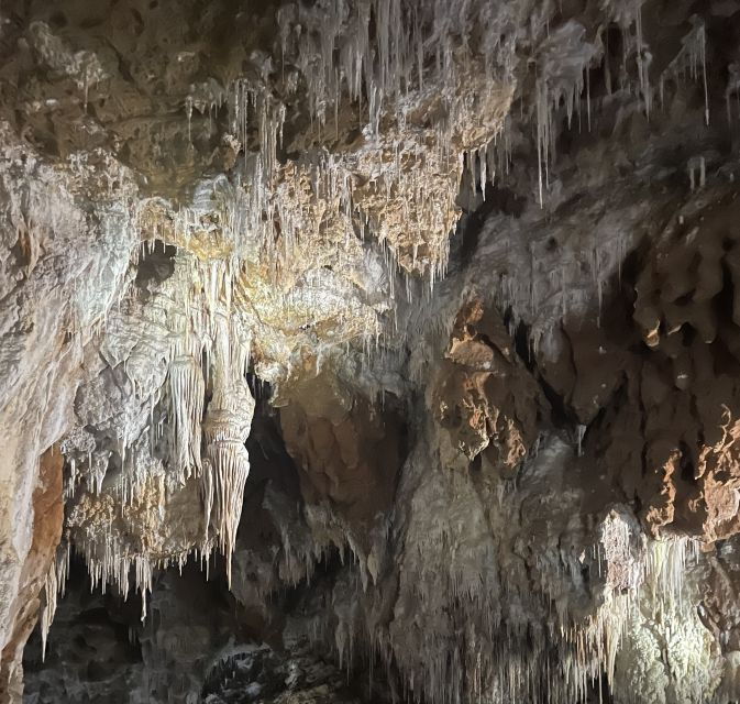 montpellierhalf-day-terrasses-du-larzac-wine-and-grotto