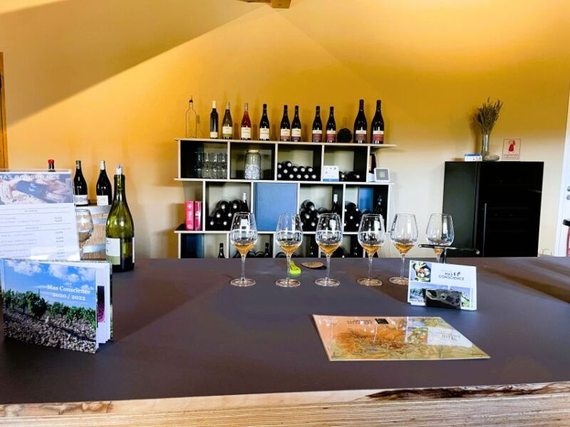 montpellierhalf-day-terrasses-du-larzac-wine-and-grotto