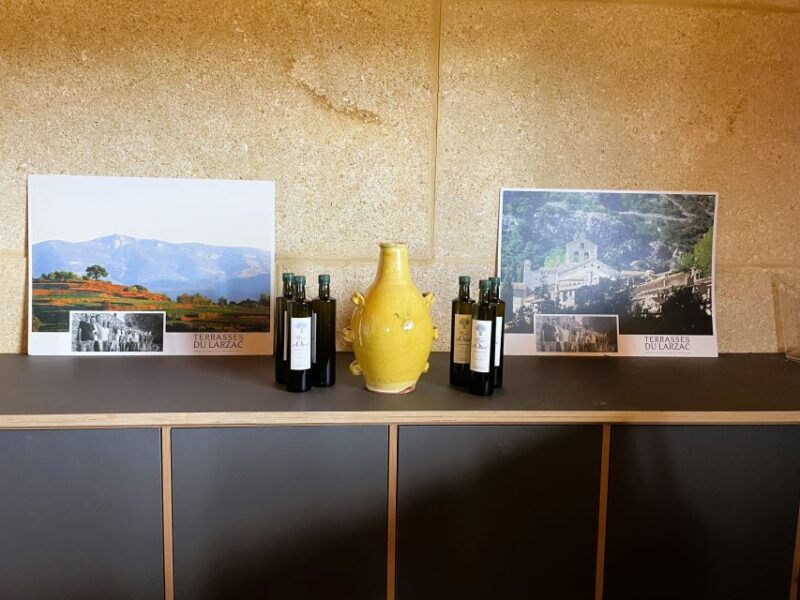 montpellierhalf-day-terrasses-du-larzac-wine-and-grotto