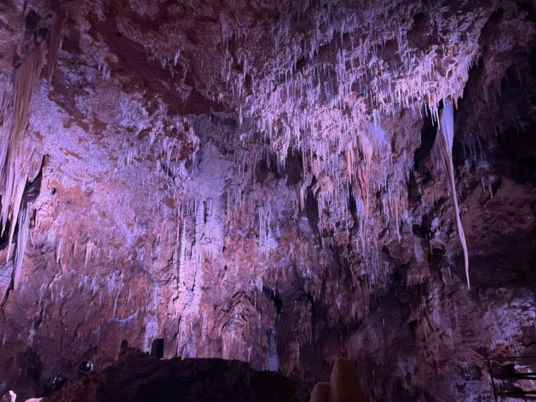 montpellierhalf-day-terrasses-du-larzac-wine-and-grotto