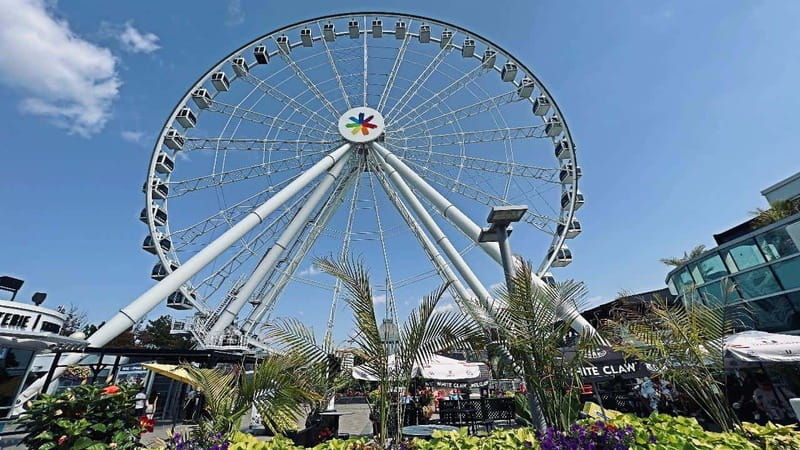 montreal-3-hour-private-car-tour-with-expert-local-guide