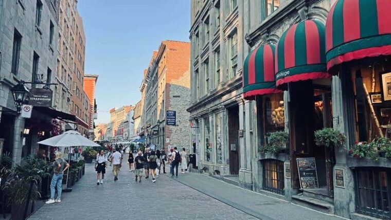 montreal-3-hour-private-car-tour-with-expert-local-guide