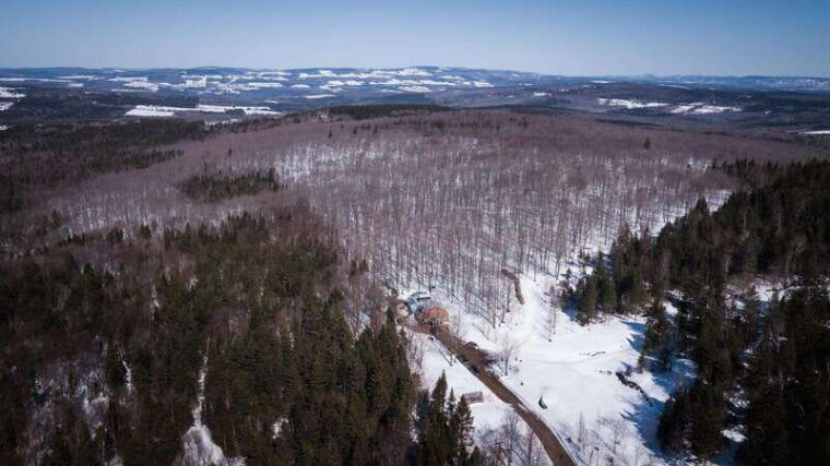 montreal-maple-syrup-tasting-conference