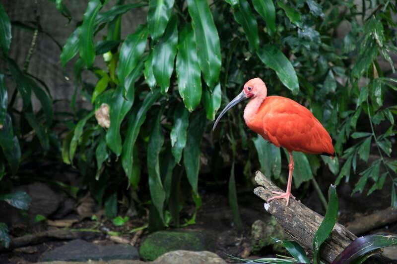 montreal-skip-the-line-biodome-private-tour-with-tickets