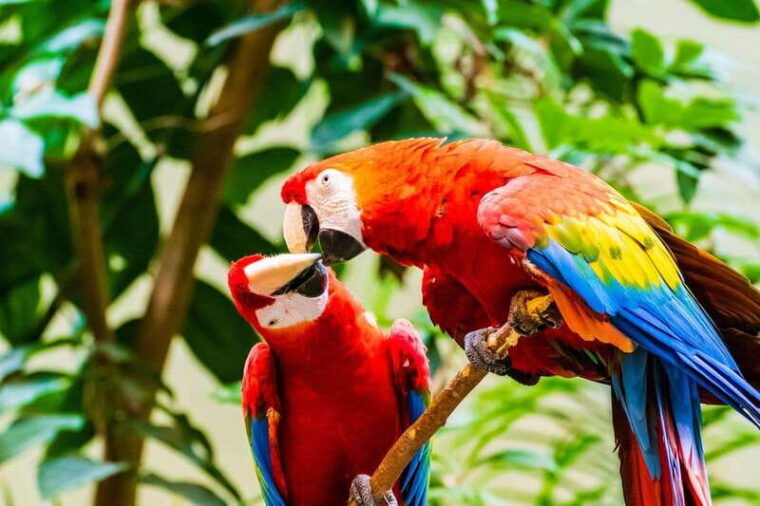 montreal-skip-the-line-biodome-private-tour-with-tickets