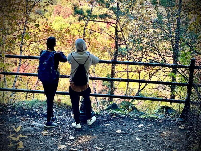 montreals-mount-royal-tour