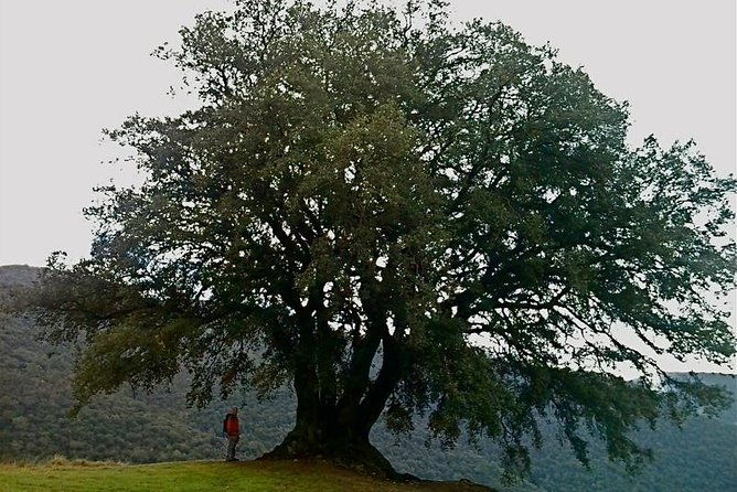 montseny-guided-hiking-tour-from-barcelona-with-organic-friendly-lunch