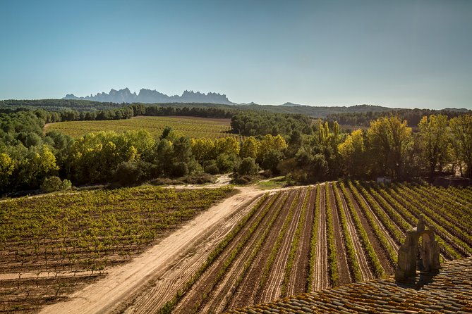 montserrat-ancient-winery-wine-tasting-customize-your-tour