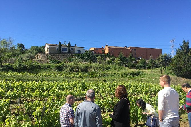 montserrat-best-winery-private-tour-experience-with-a-local-expertise