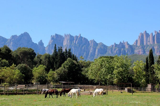 montserrat-horseback-riding-monastery-small-group-tour