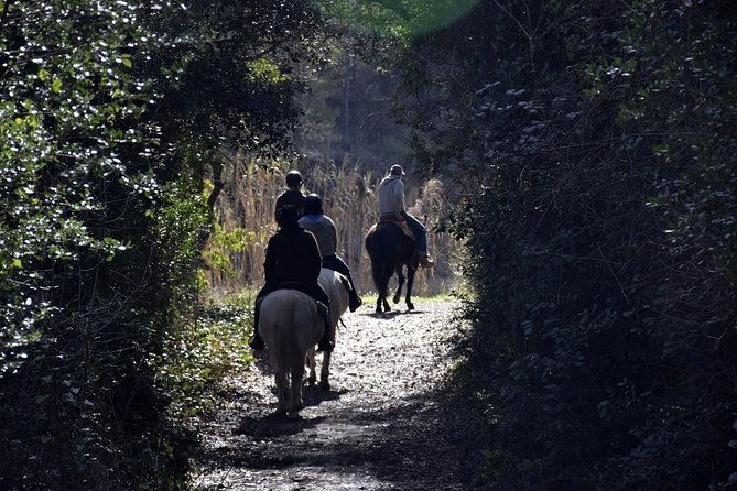 montserrat-horseback-riding-monastery-small-group-tour
