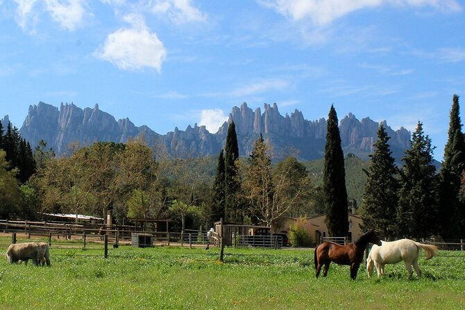 montserrat-horseback-riding-monastery-small-group-tour