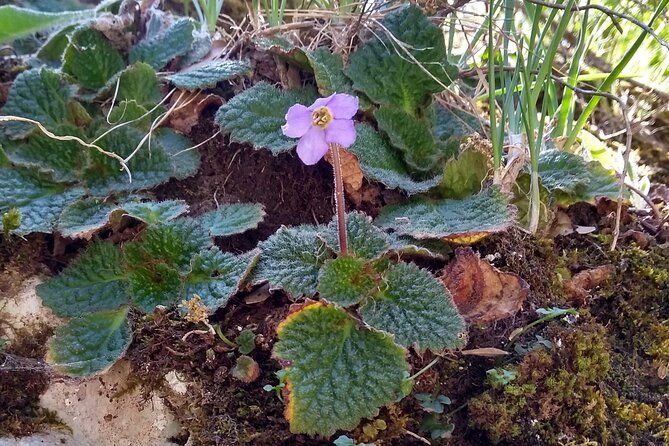 montserrat-monastery-and-hiking-experience