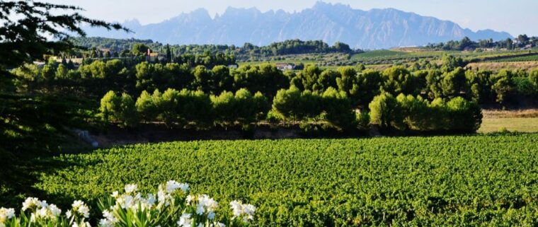 montserrat-private-half-day-tour-from-barcelona