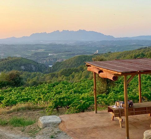 montserrat-private-tour-lunch-wine-tasting-in-penedes-winery