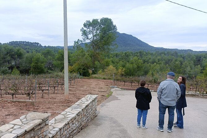 montserrat-tailored-private-tour-monastery-winery-more
